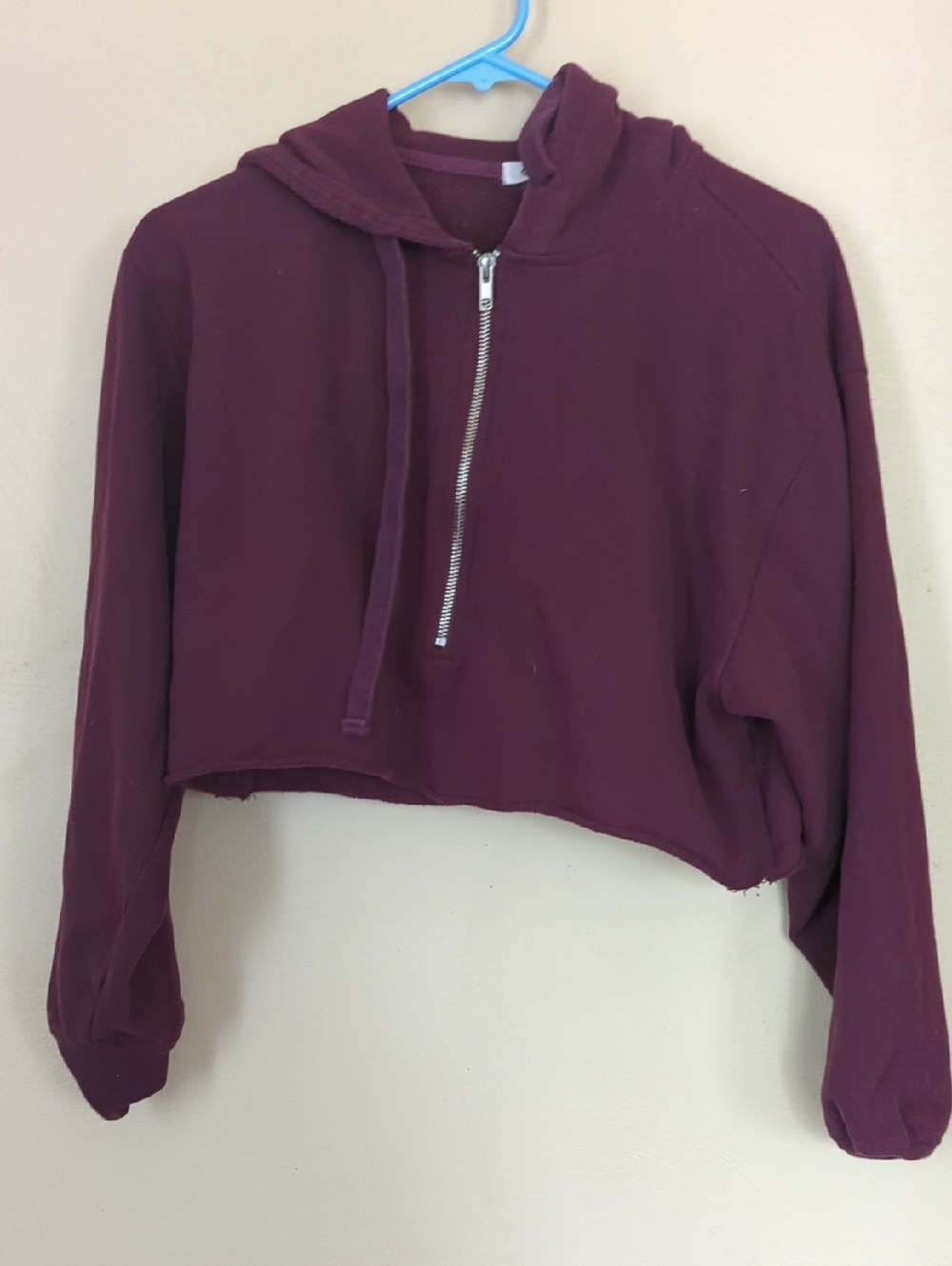 Garage Cropped Half-Zip Hoodie in Burgundy